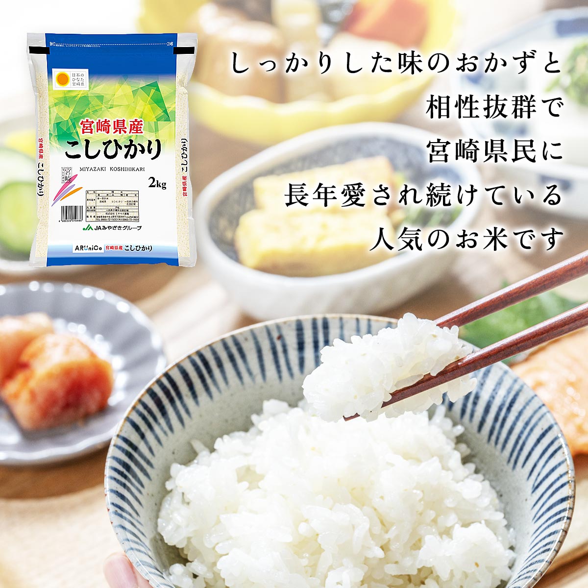 【送料無料】令和8年産 宮崎県産 こしひかり 2kg