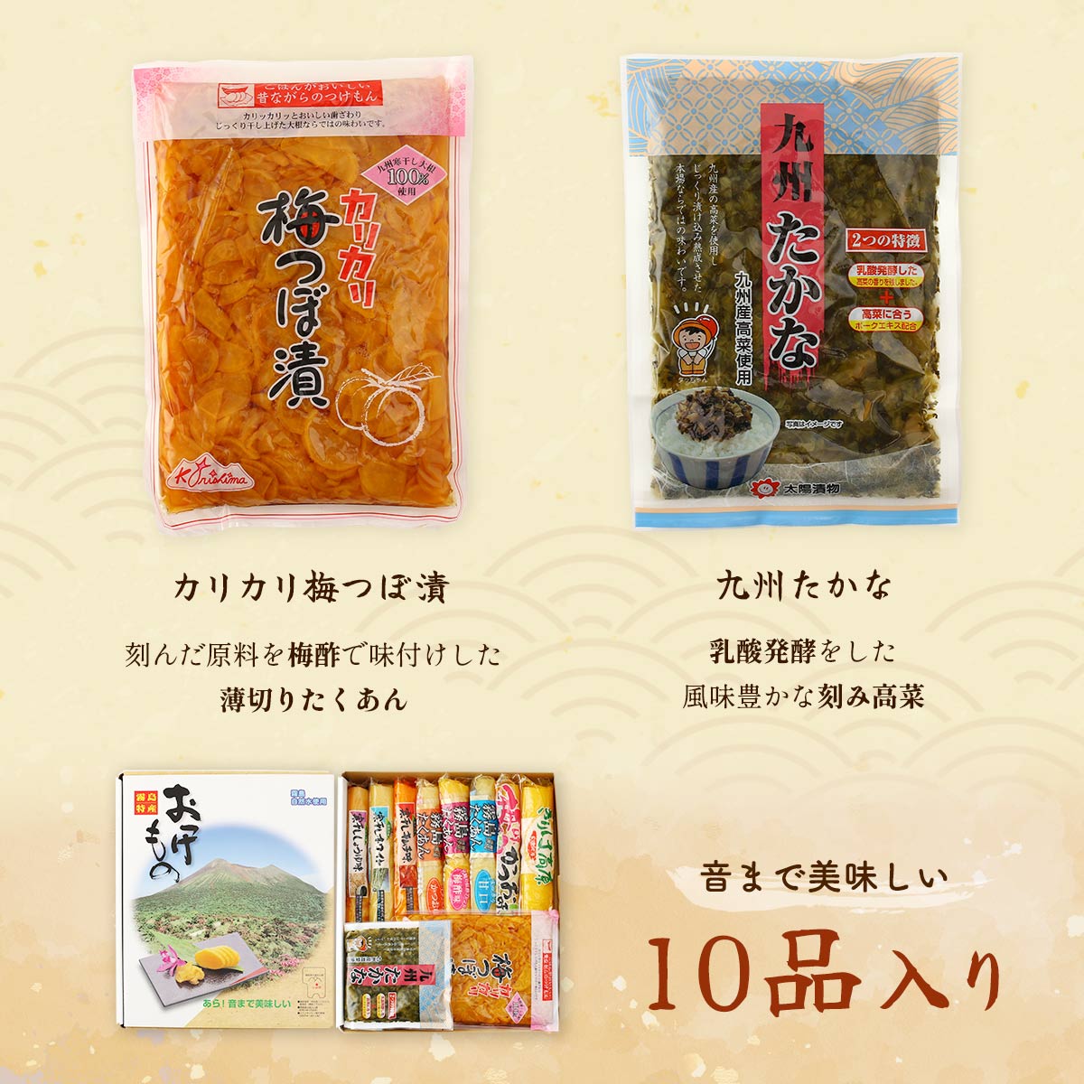 宮崎のおつけものセット(漬物10種入り)
