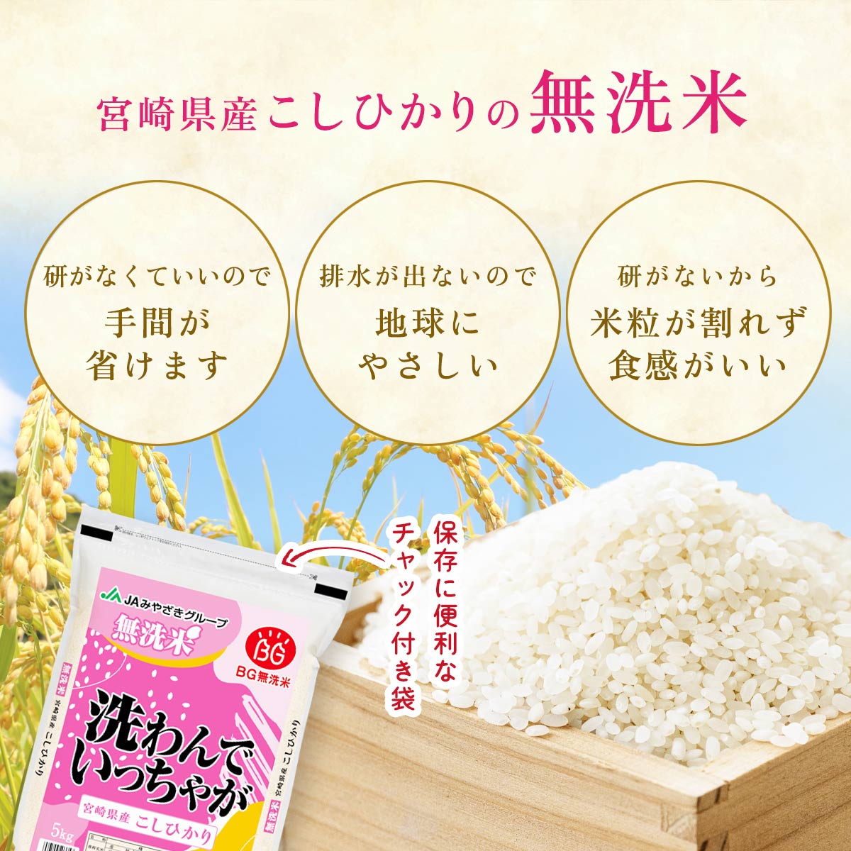 【令和7年産】宮崎県産 無洗米 こしひかり 5kg