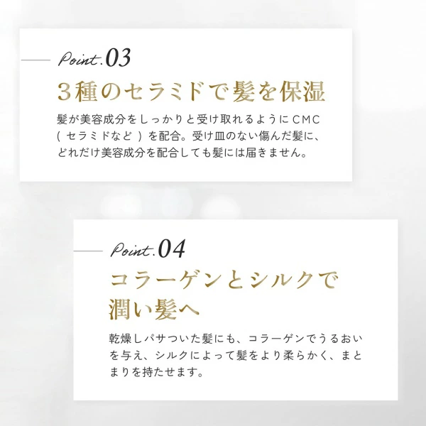 スペシャルセット