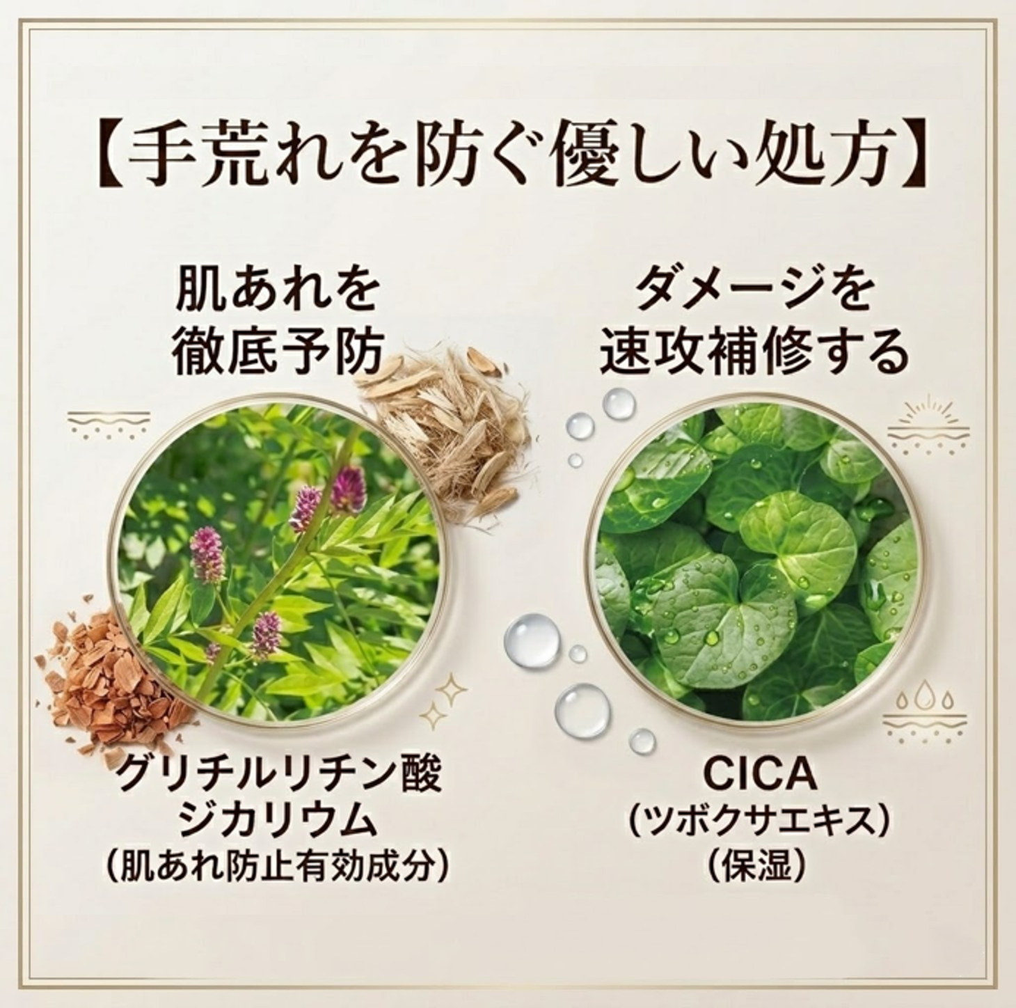 【TELESAブランドリニューアル記念ずっと40％OFF OKAERIハンドソープ定期便】