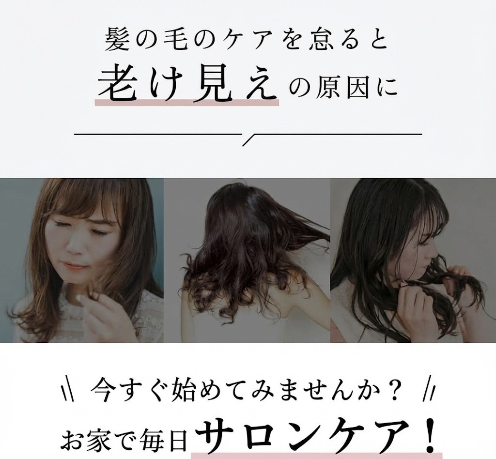 スペシャルセット