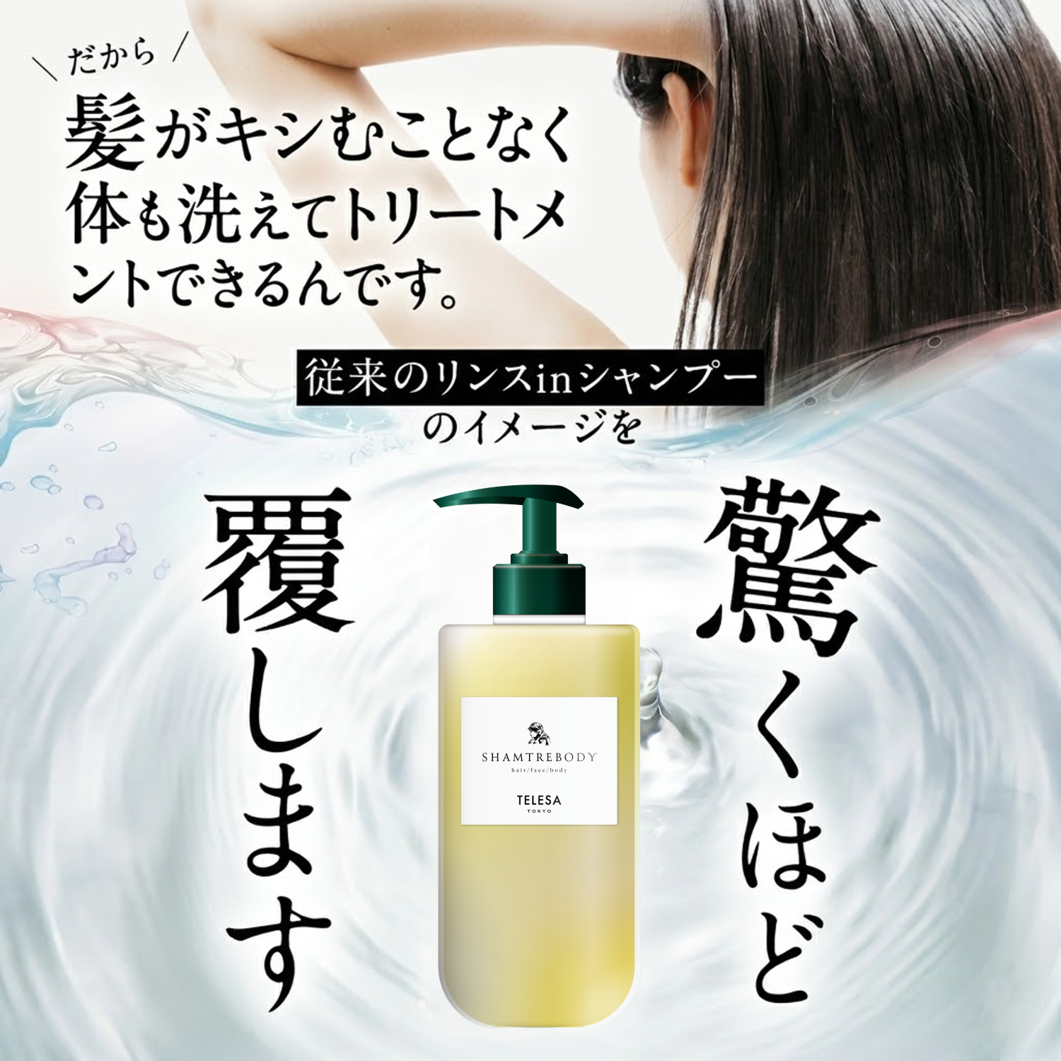シャントリボディ定期便