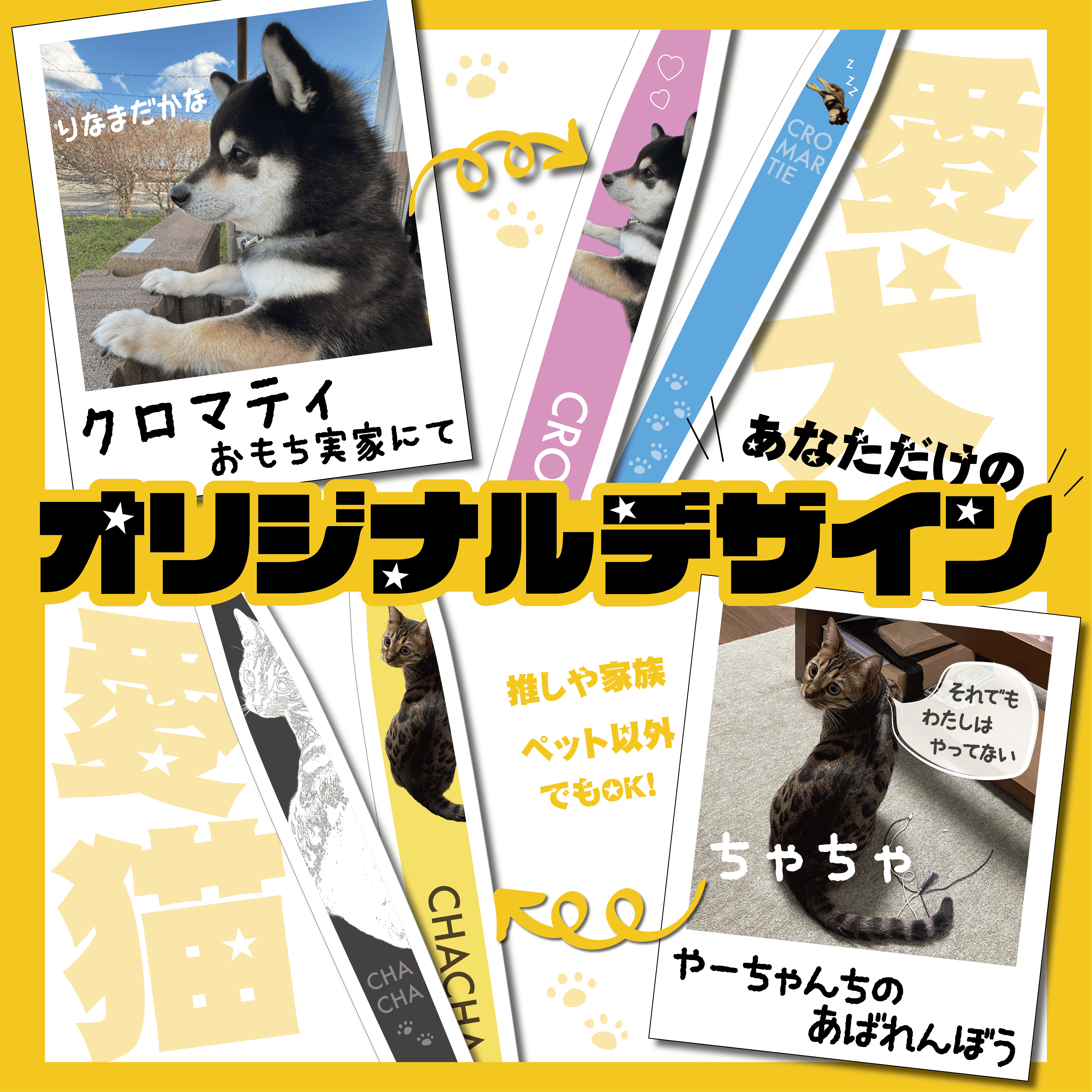 【ブランドチーム】【先着10名様限定】奇跡の歯ブラシ　オリジナルデザインセット