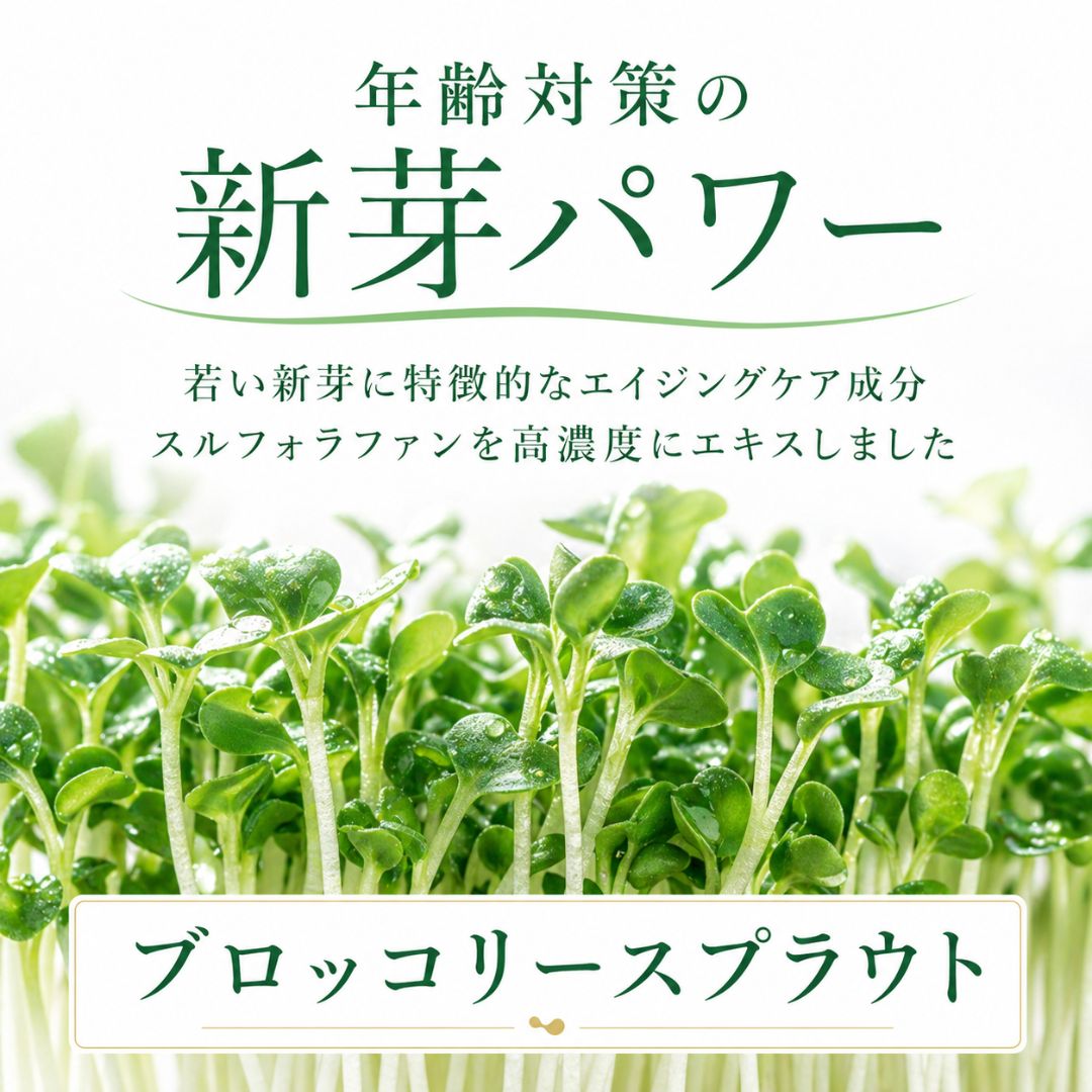 【定期コース】ブロッコリースプラウトEX（60本）