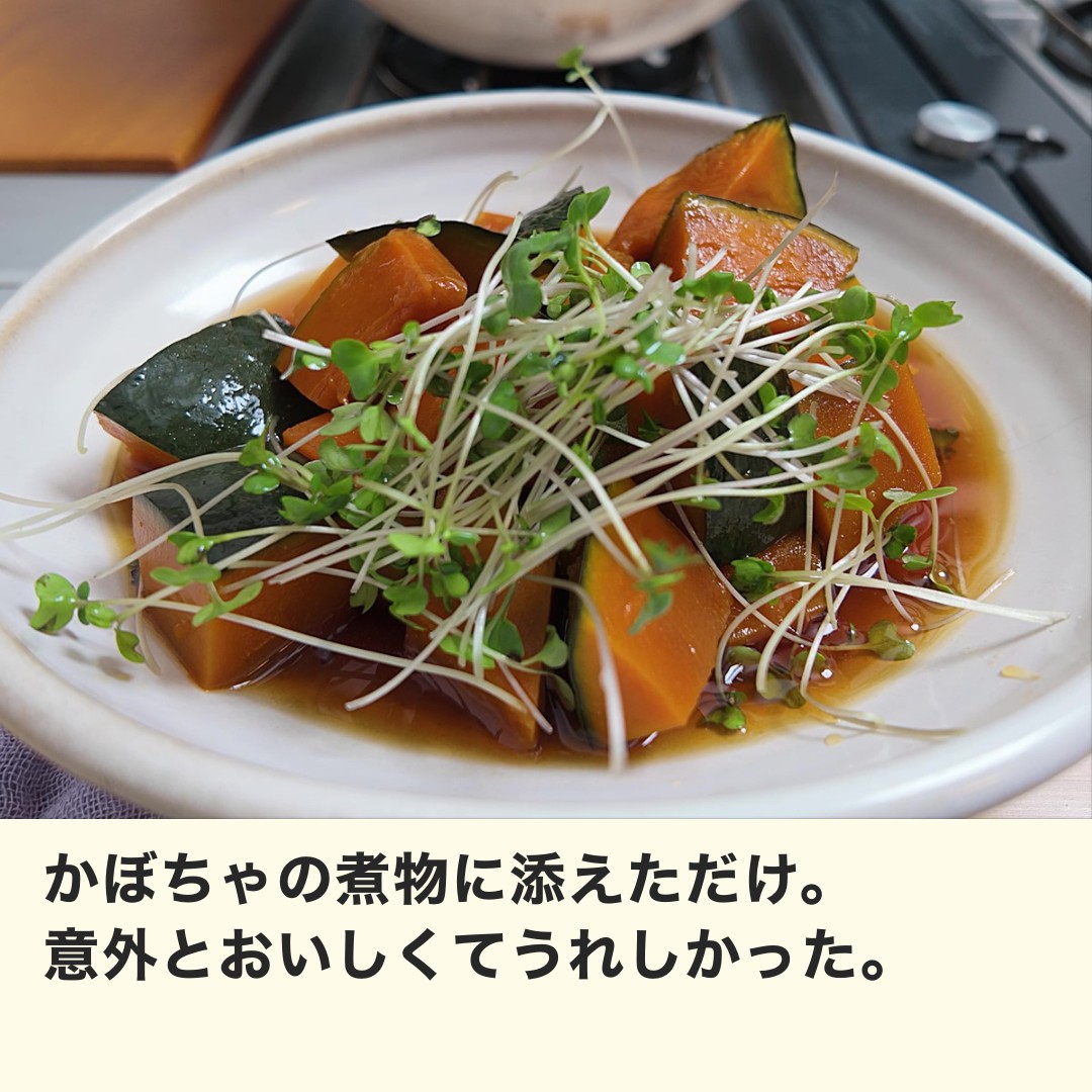 かぼちゃの煮物に