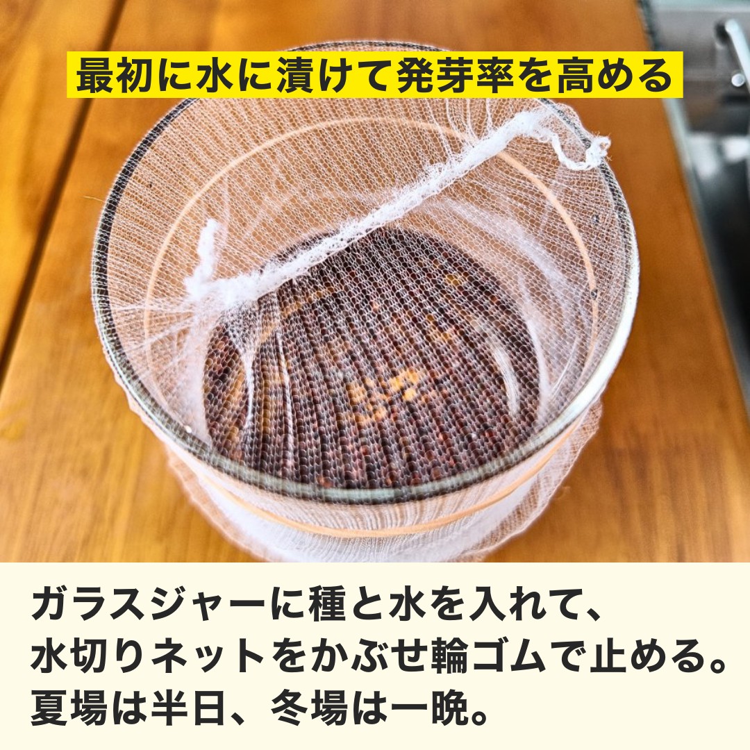 水に漬ける