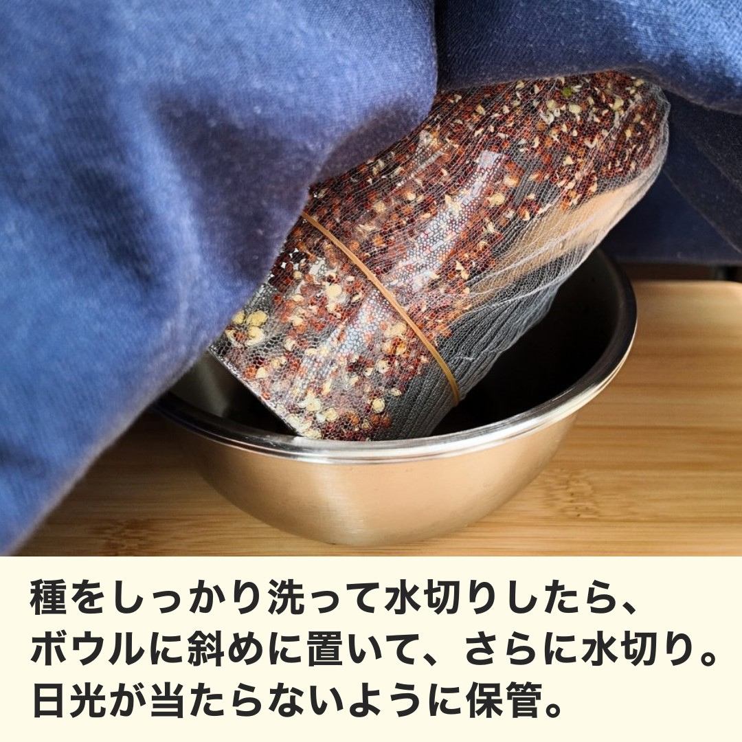 暗所で保管