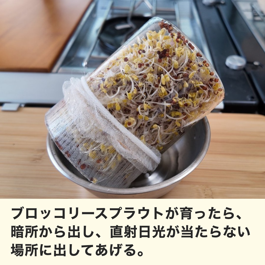 暗所から出す