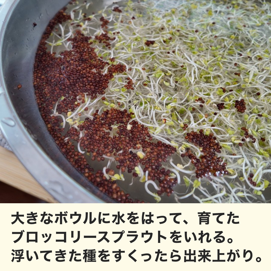 種をとる