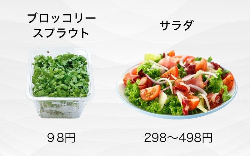 毎日サラダ生活