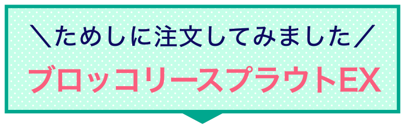 ためしに注文してみました