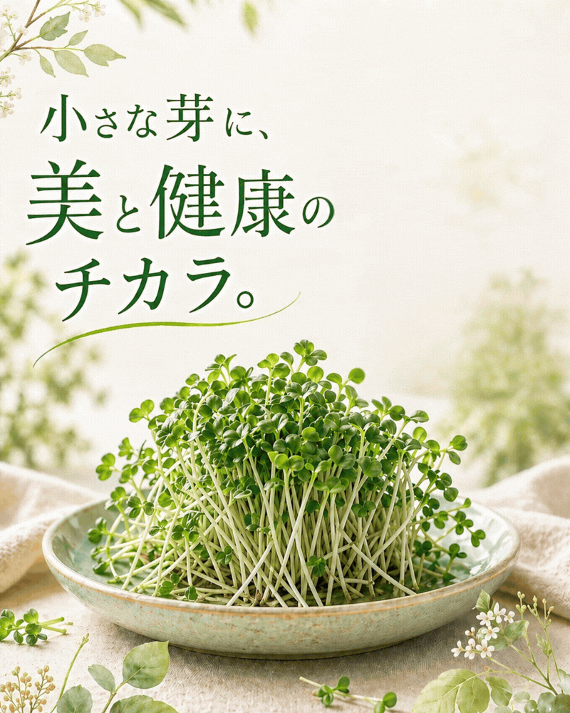 健康効果で話題のブロッコリースプラウト
