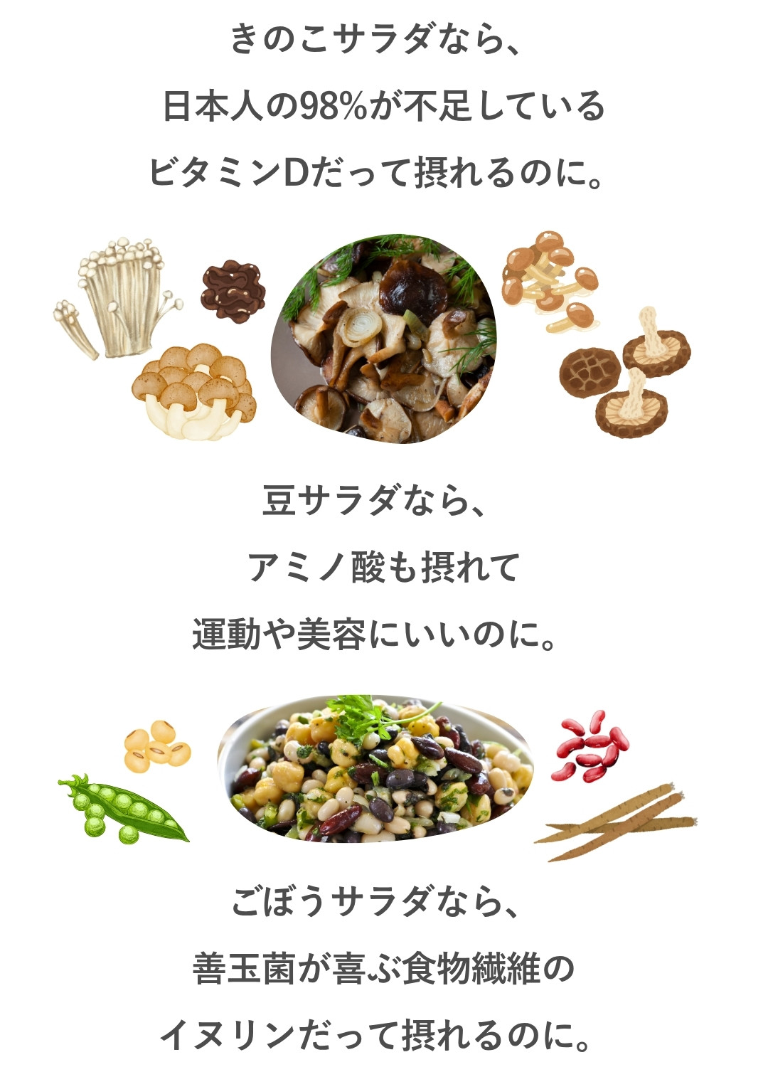 きのこや豆、ごぼうのサラダなら