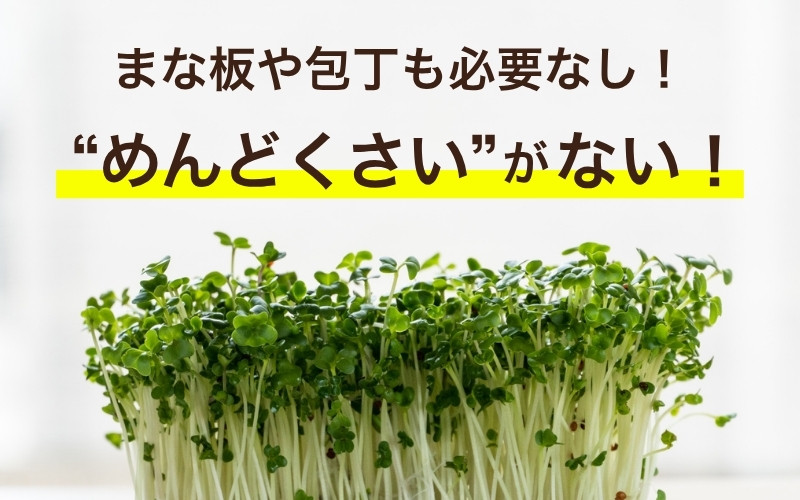 待望のドリンク化