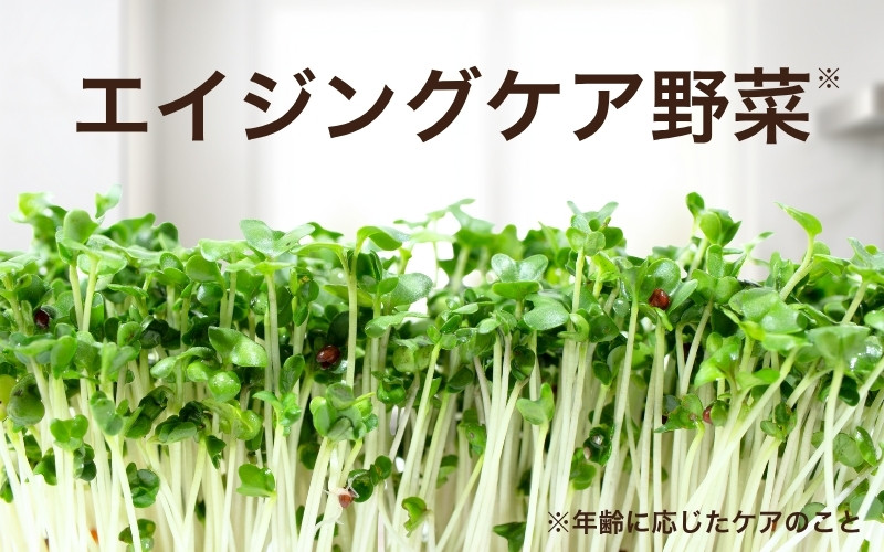 エイジングケア野菜