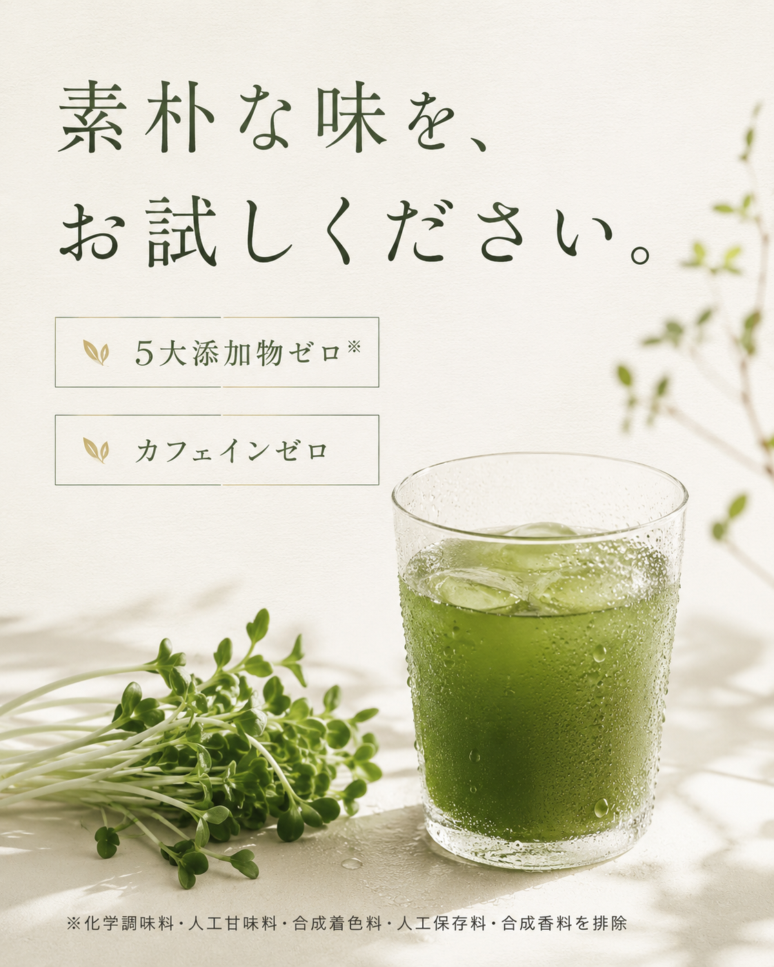 食べなくていい！ブロッコリースプラウトを買う、洗う、切る。全部しなくていい！