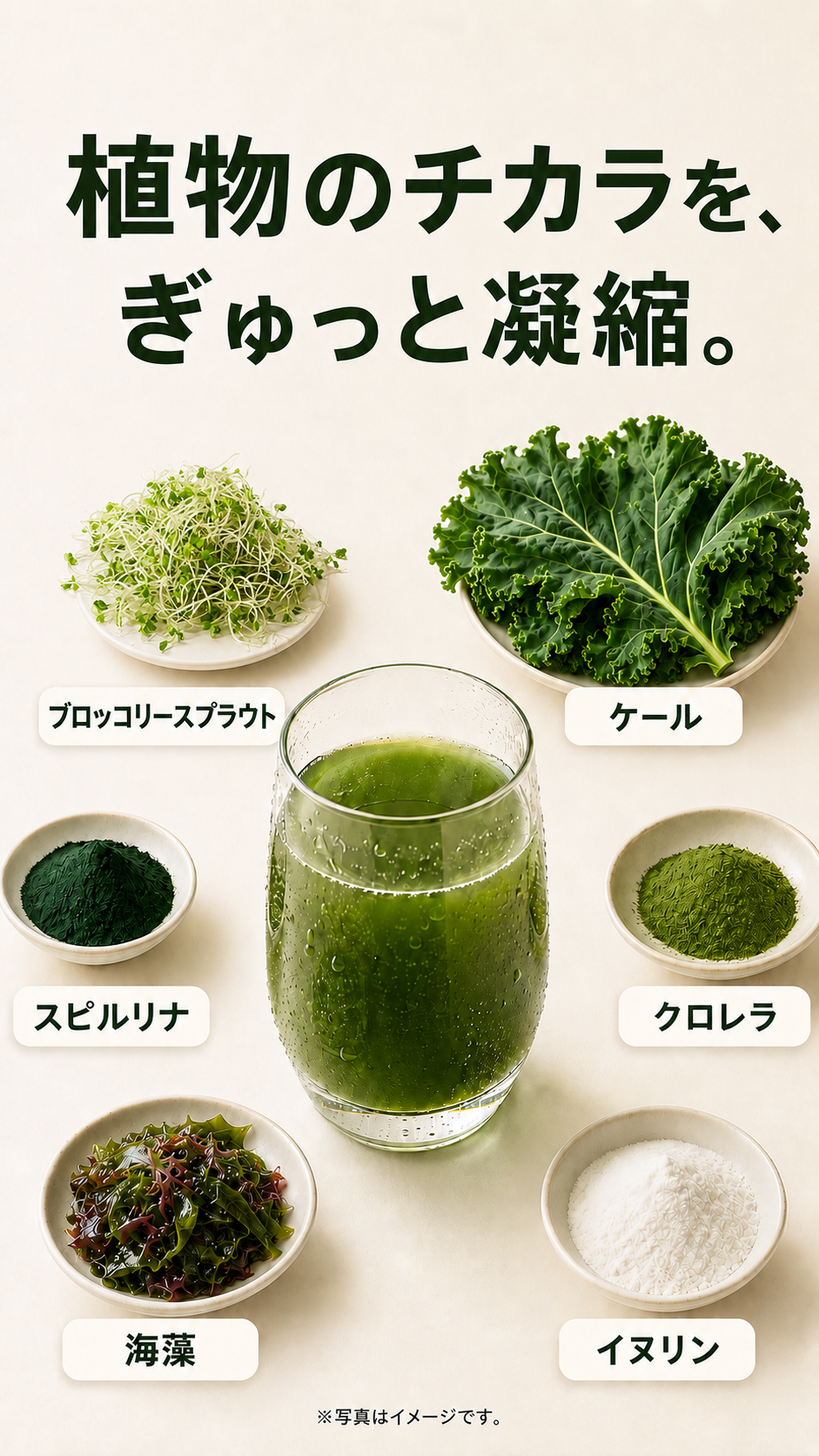 ブロッコリースプラウト生活「食べ方よりも、続け方。」