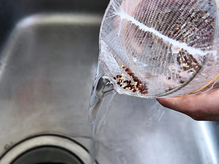水切りネット越しにガラス瓶から水を捨てている様子