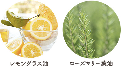レモングラス油 ローズマリー葉油