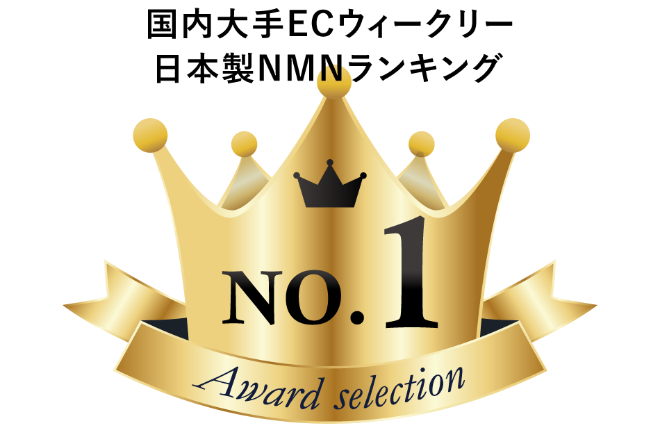 総勢3000名以上に