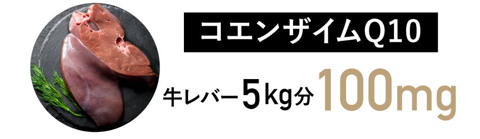 コエンザイムQ10