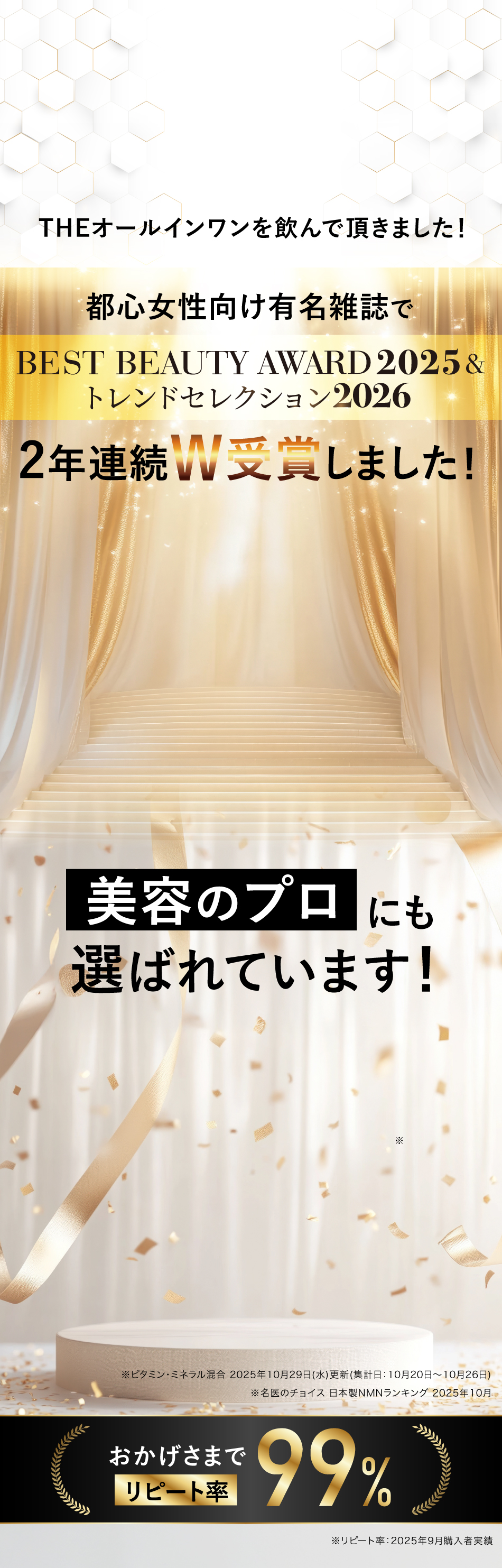 GIGAGIGASONICin幕張メッセでTHEオールインワンが協賛しました