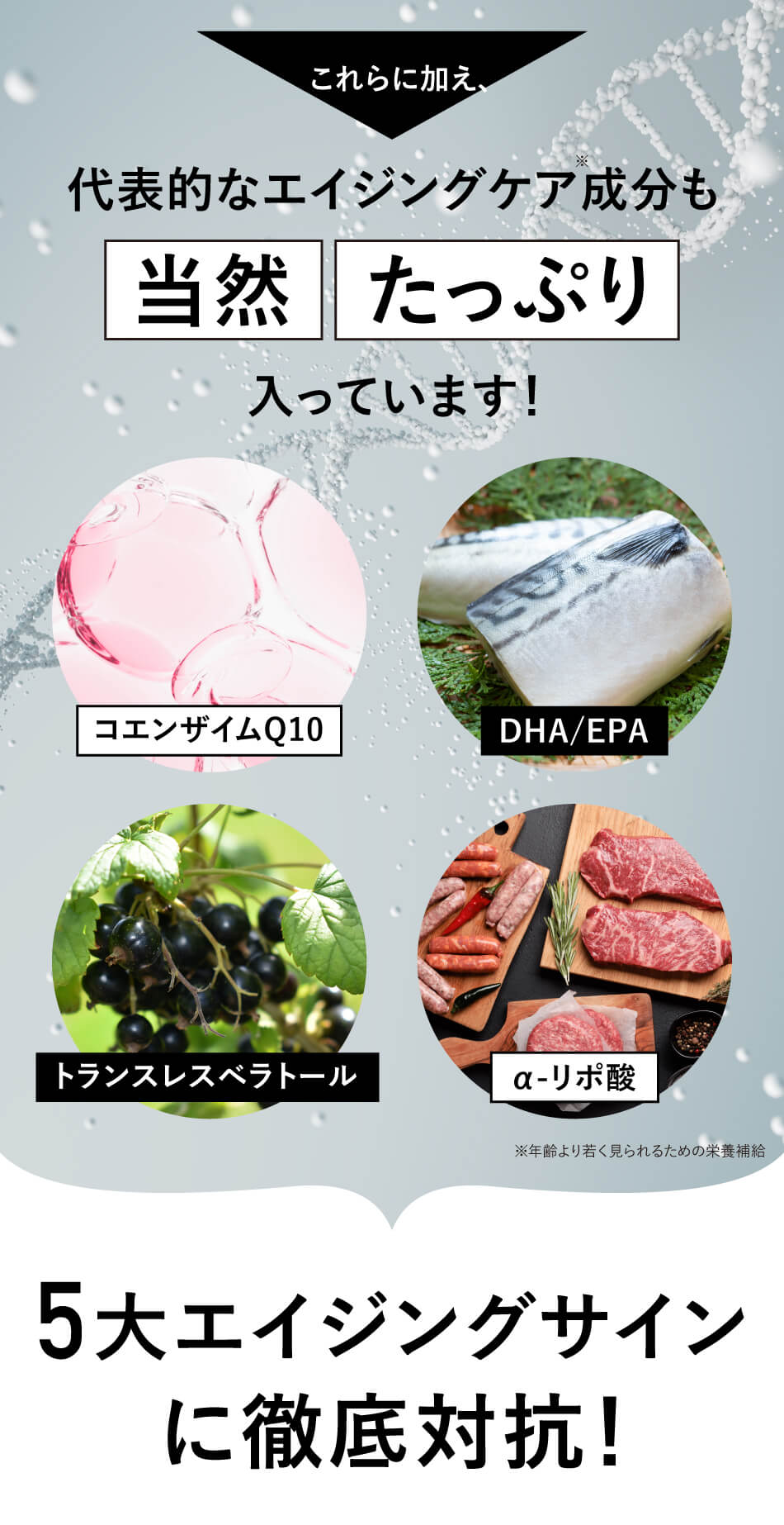 コエンザイムQ10、DHA/EPA、トランスレスベラトール、αリポ酸などの代表的なエイジングケア成分もたっぷり