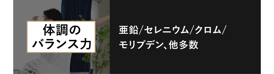体調のバランス力