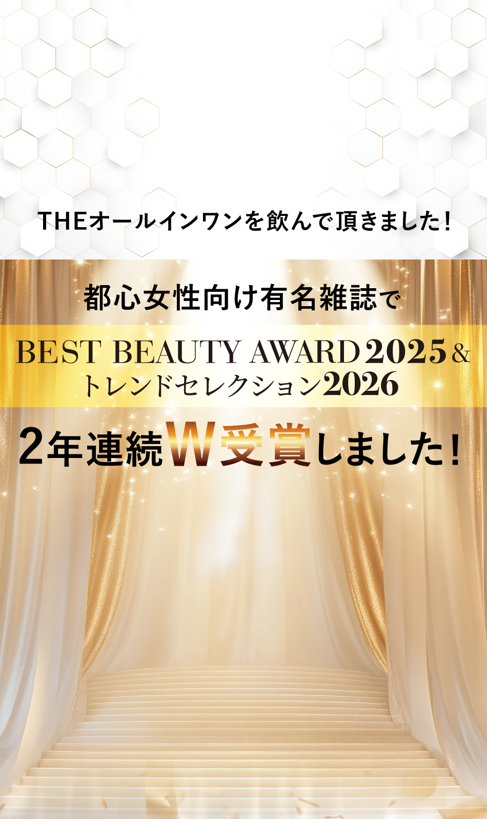 GIGAGIGASONICin幕張メッセでTHEオールインワンが協賛しました