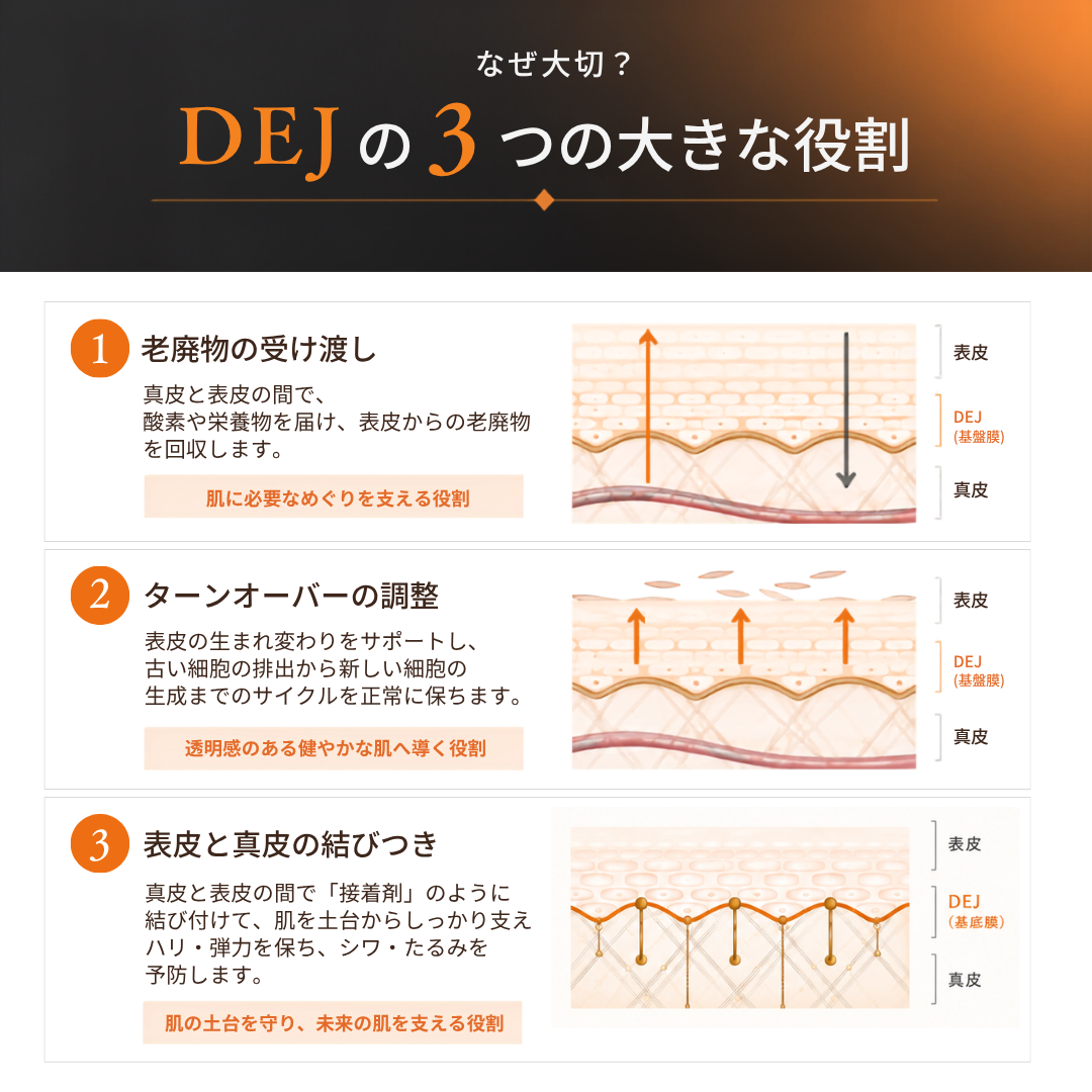 Revision Skincare｜DEJデイリーブースティングセラム