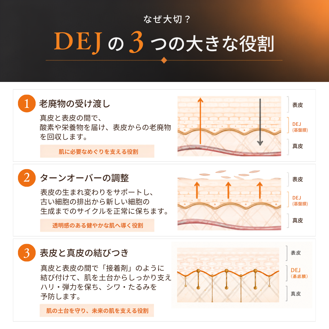Revision Skincare｜DEJフェイスクリーム