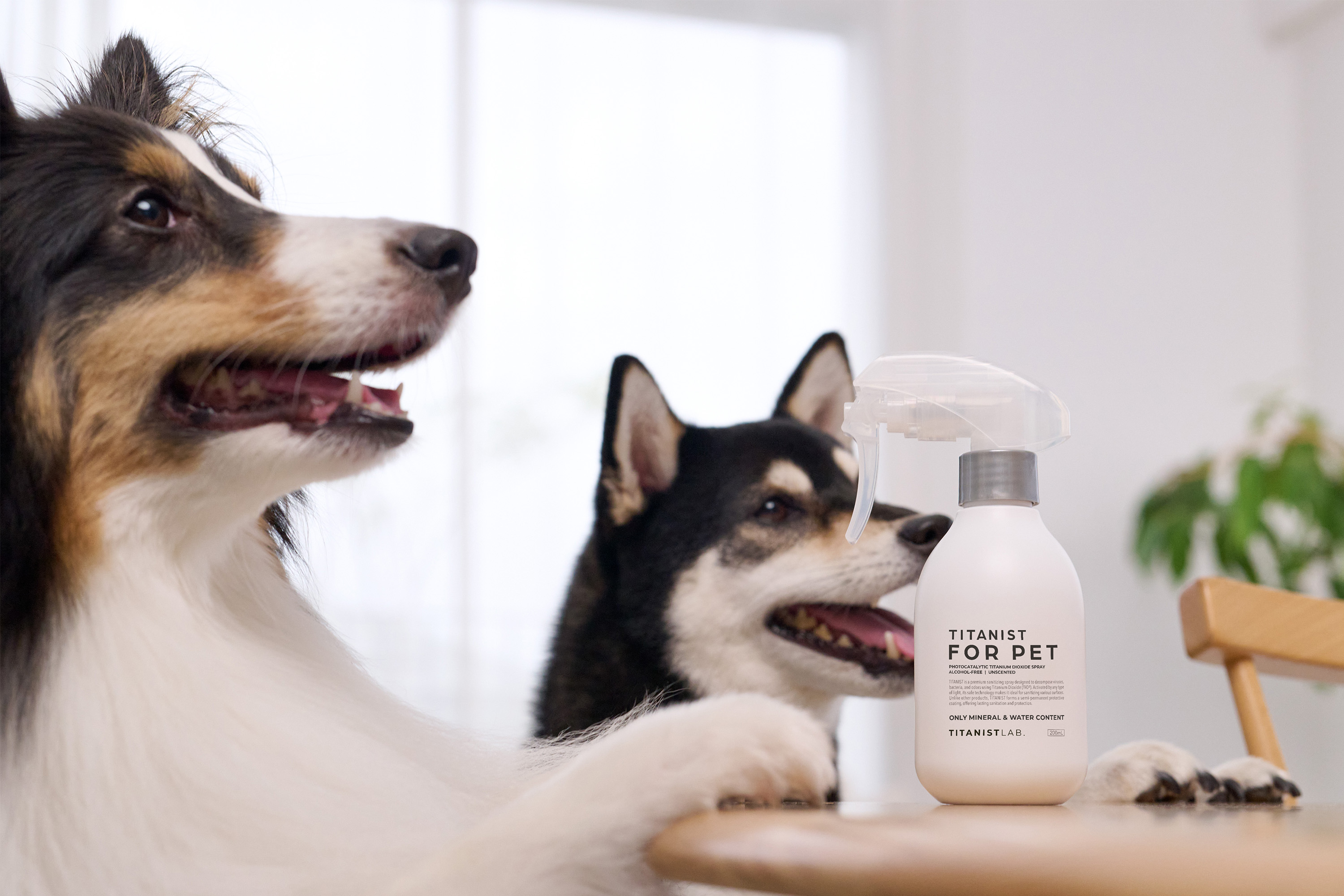 TITANIST FOR PET IMAGE