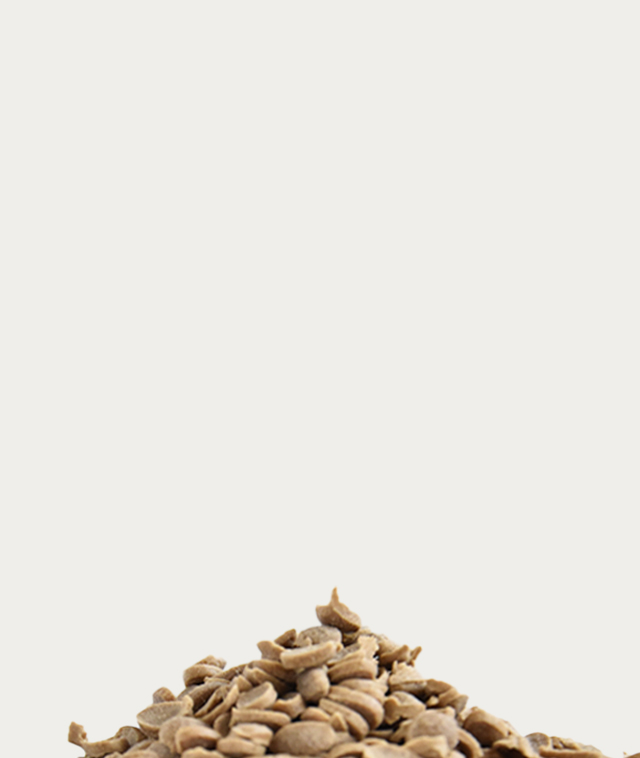 言葉が通じないからこそ「これがいい」と思えるご飯を。