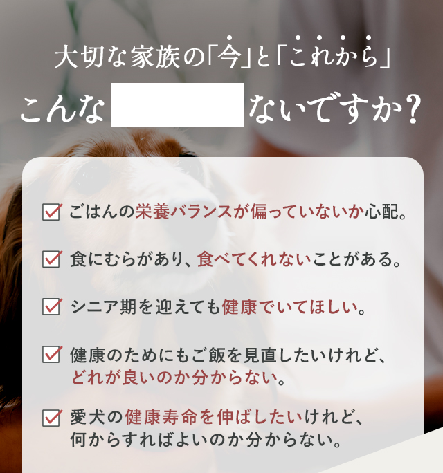 愛犬のフード選び。こんなお悩みないですか？
