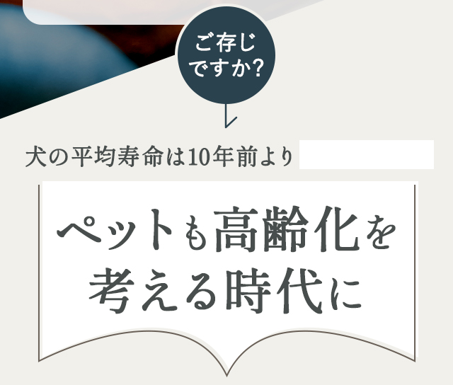 ペットも高齢化を考える時代