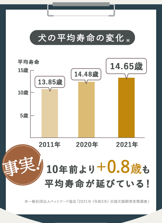 犬の平均寿命の変化