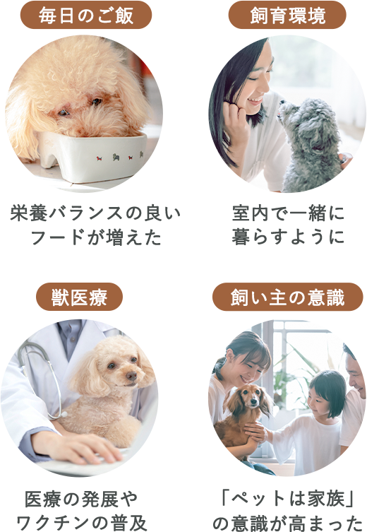 考え方や環境の変化