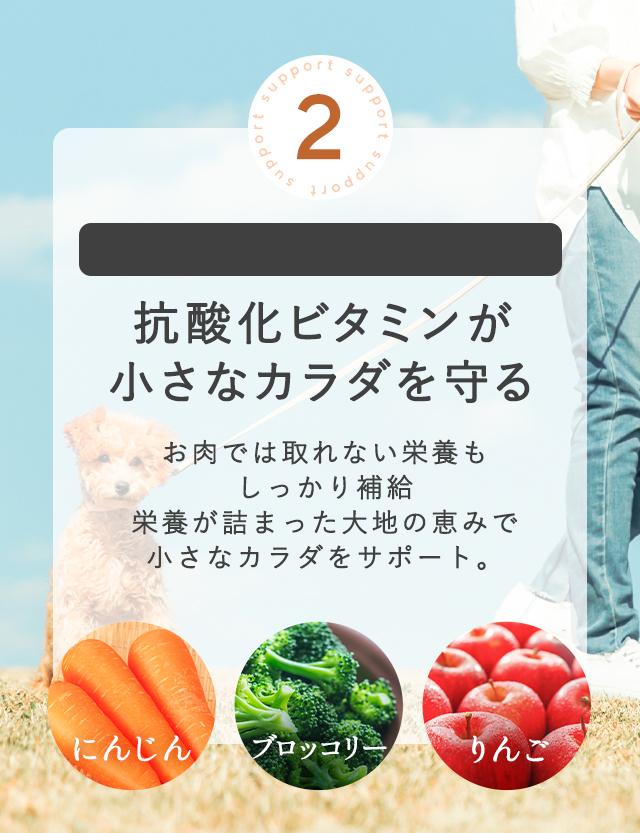 抗酸化ビタミンが小さなカラダを守る
