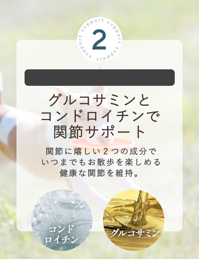 グルコサミンとコンドロイチンで関節サポート