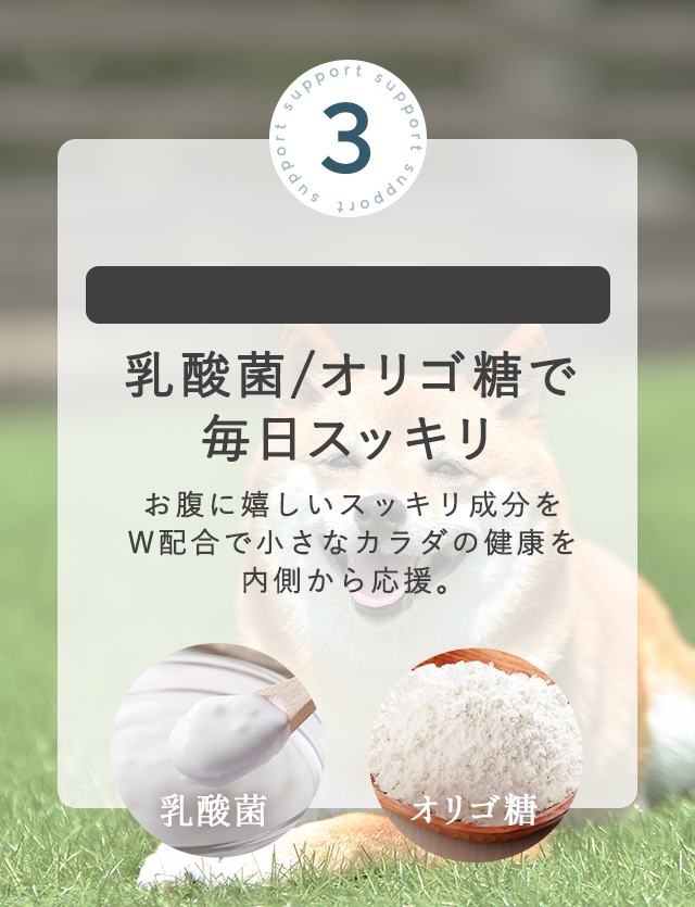 乳酸菌／オリゴ糖で毎日スッキリ