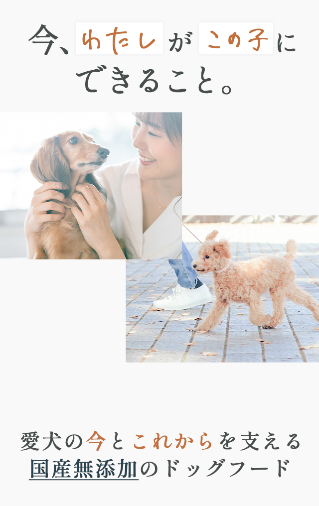 今、私がこの子にできること。