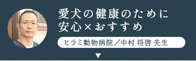 愛犬の健康の為に安心×おすすめ