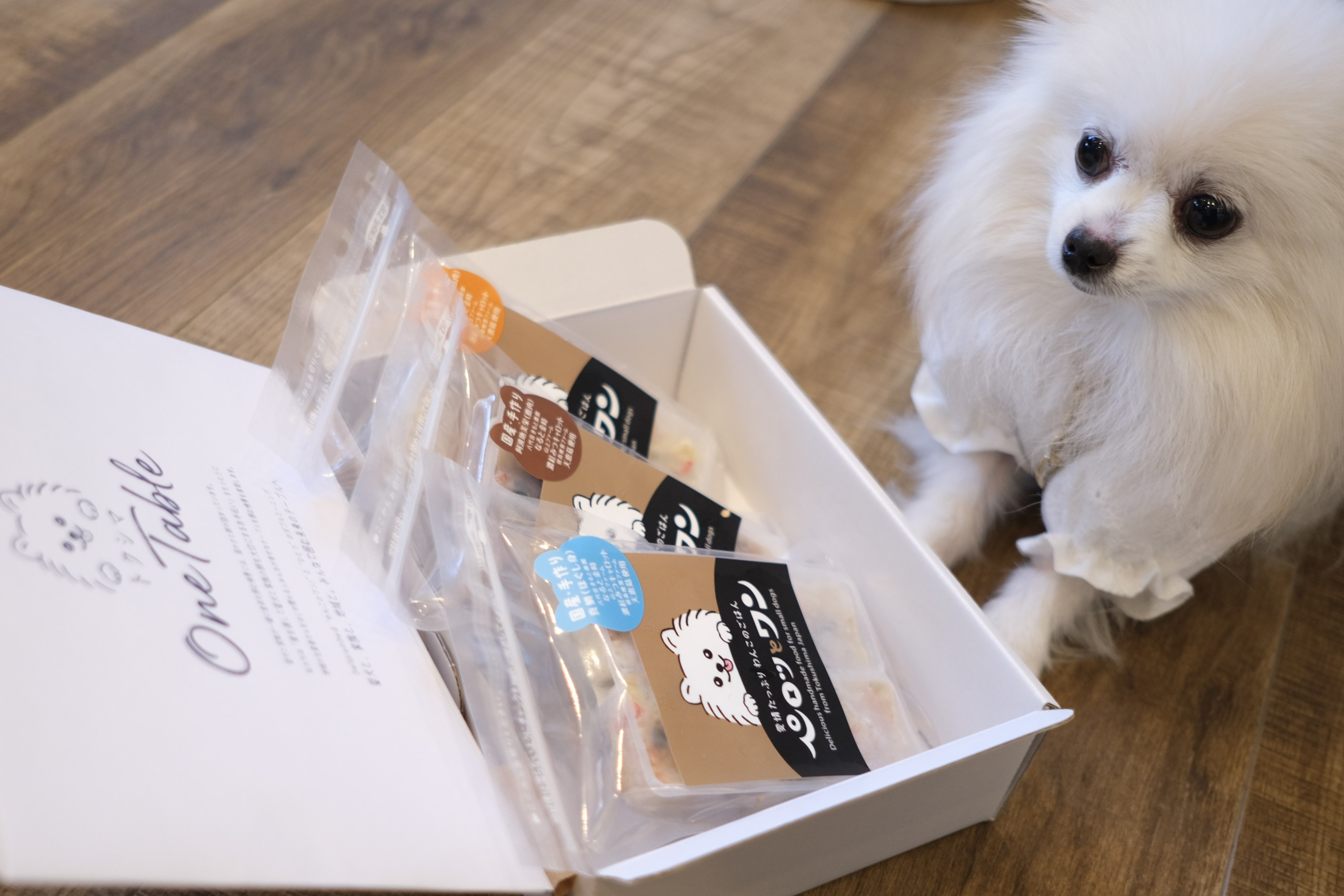 初回限定お試しセット