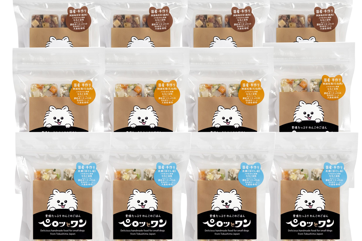 お得な継続プラン12