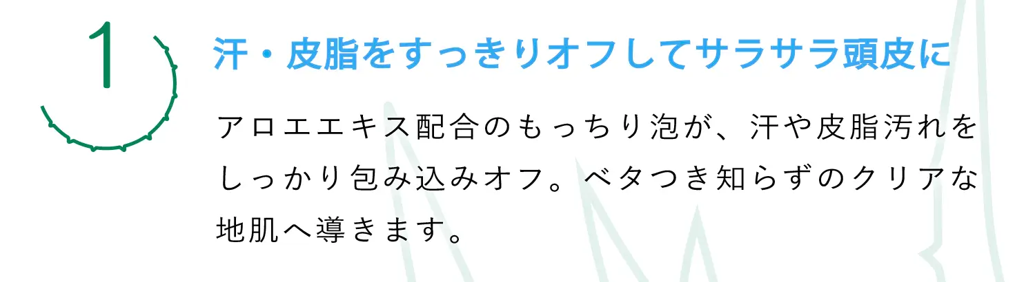 (1)汗・皮脂をすっきりオフしてサラサラ頭皮に（アロエエキス配合のもっちり泡が、汗や皮脂汚れをしっかり包み込みオフ。ベタつき知らずのクリアな地肌へ導きます。）