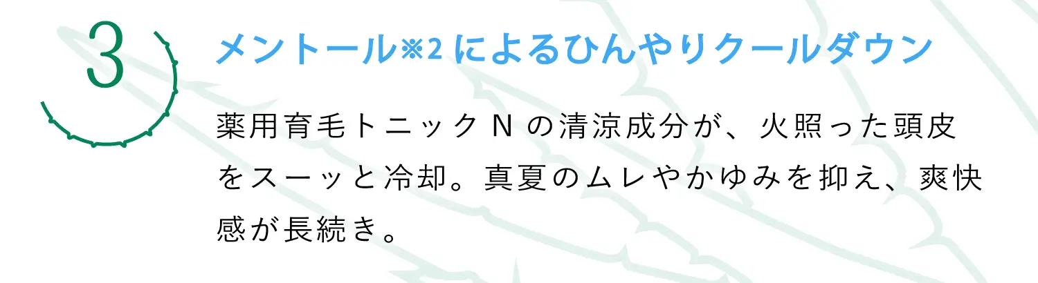 (3)メントール※2によるひんやりクールダウン（薬用育毛トニックNの清涼成分が、火照った頭皮をスーッと冷却。真夏のムレやかゆみを抑え、爽快感が長続き。）