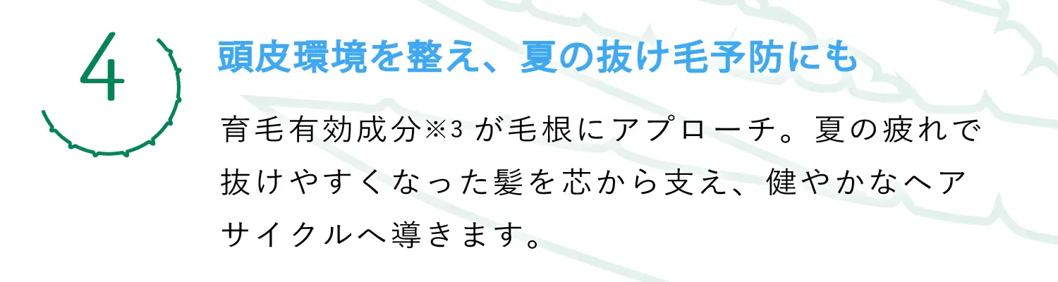 (4)頭皮環境を整え、夏の抜け毛予防にも（育毛有効成分※3が毛根にアプローチ。夏の疲れで抜けやすくなった髪を芯から支え、健やかなヘアサイクルへ導きます。）