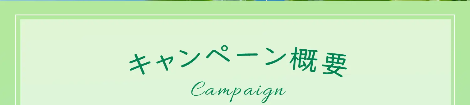 キャンペーン概要