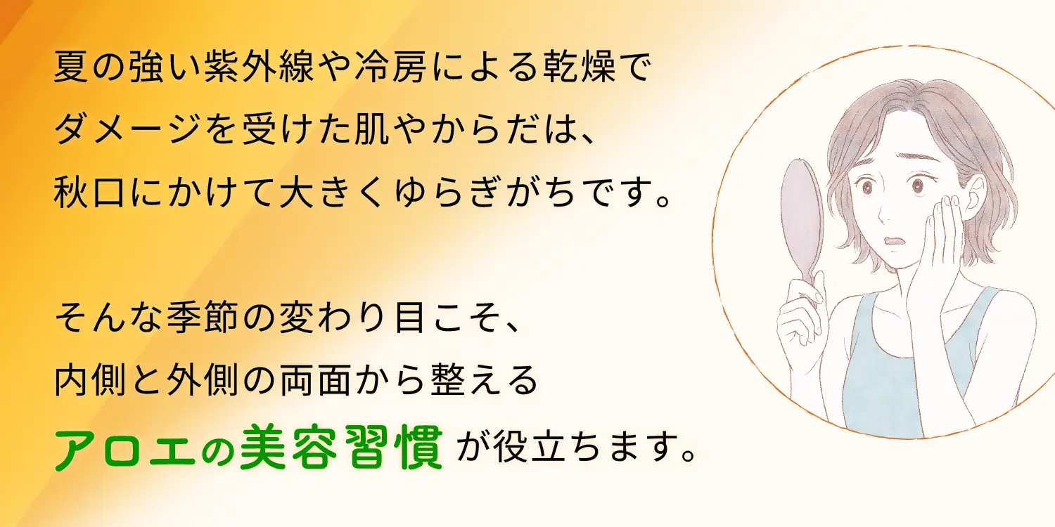夏の強い紫外線や冷房による乾燥でダメージを受けた肌やからだは、秋口にかけて大きくゆらぎがちです。そんな季節の変わり目こそ、内側と外側の両面から整えるアロエの美容習慣が役に立ちます。